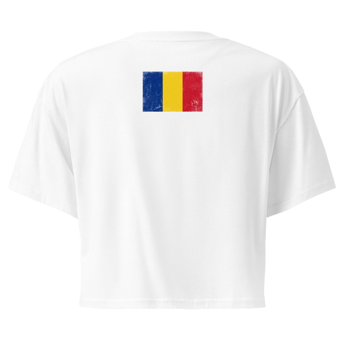 Romania flag crop top in White, vintage-washed print, flag across the upper back, women cut, back view