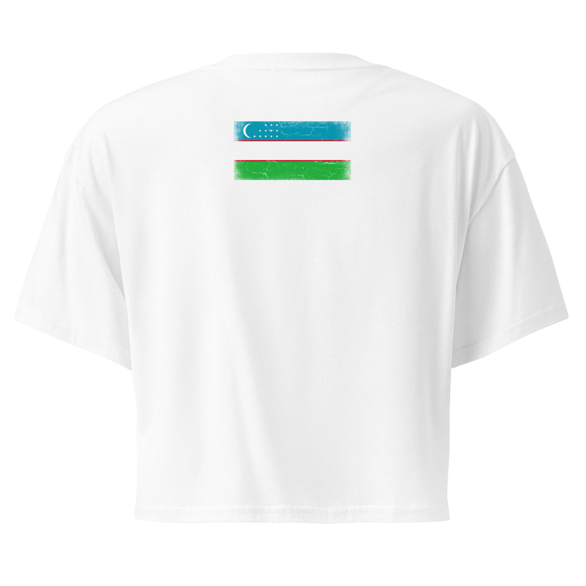 Uzbekistan flag crop top in White, vintage-washed print, flag across the upper back, women cut, back view