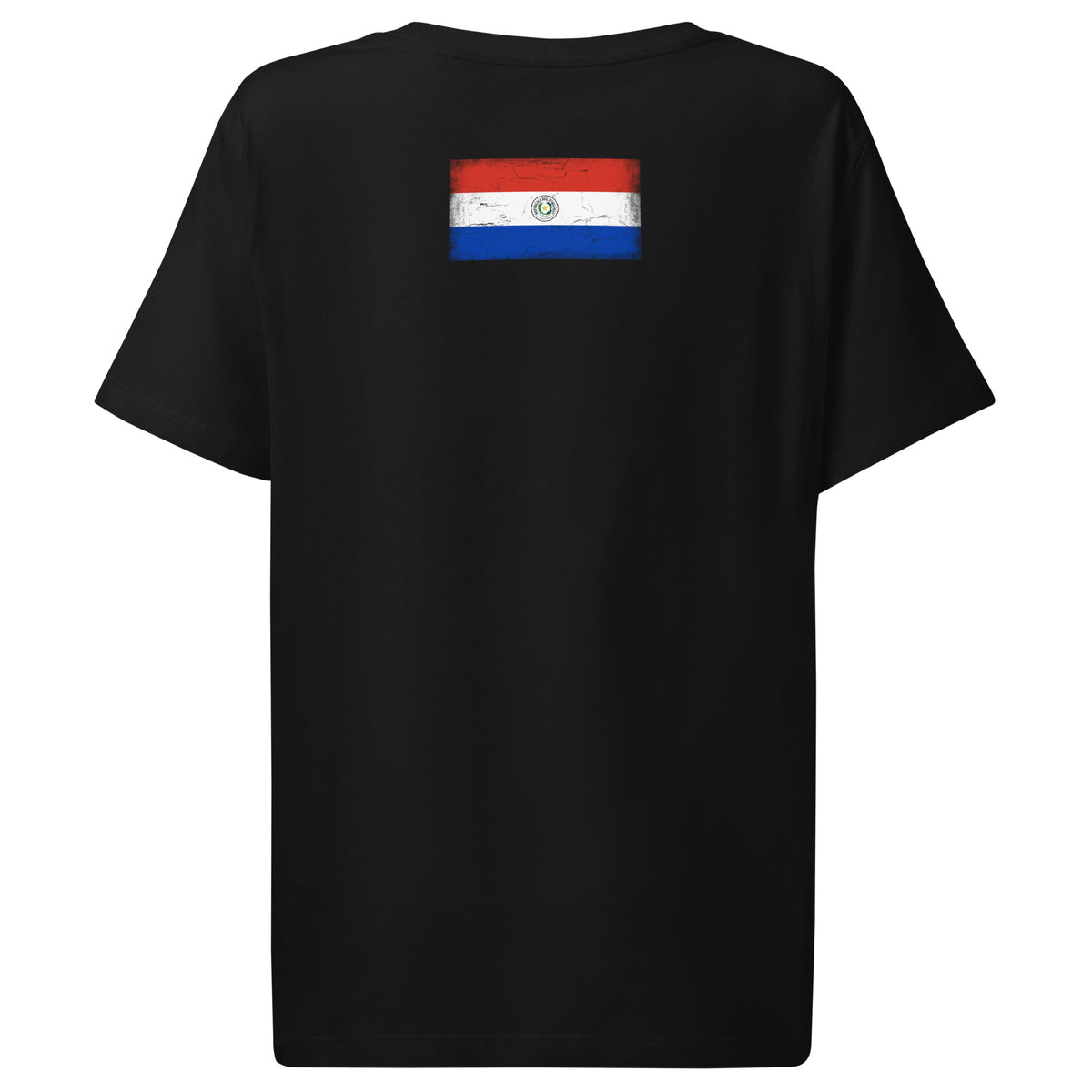 Paraguay flag t-shirt in Black, vintage-washed print, flag across the upper back, women cut, back view