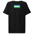 Uzbekistan flag t-shirt in Black, vintage-washed print, flag across the upper back, women cut, back view