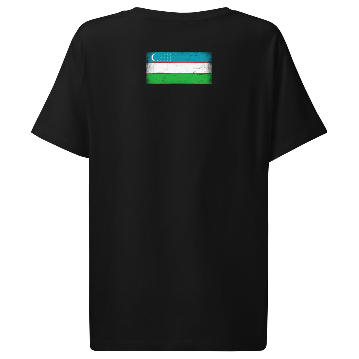 Uzbekistan flag t-shirt in Black, vintage-washed print, flag across the upper back, women cut, back view