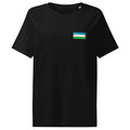 Uzbekistan flag t-shirt in Black, vintage-washed print, small flag on the left chest, women cut, front view