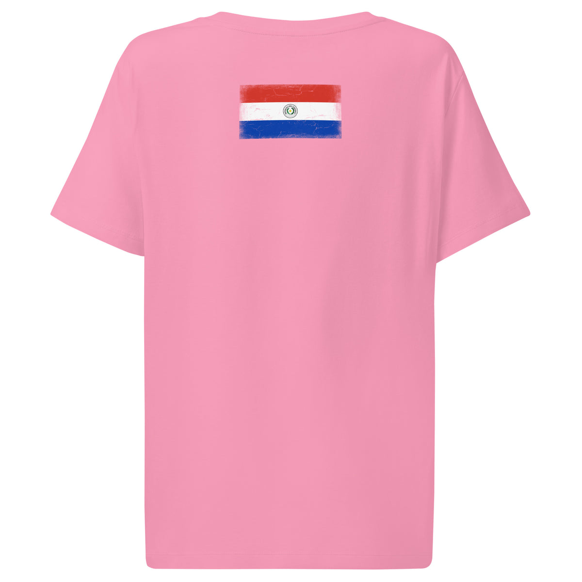 Paraguay flag t-shirt in Bubble Pink, vintage-washed print, flag across the upper back, women cut, back view