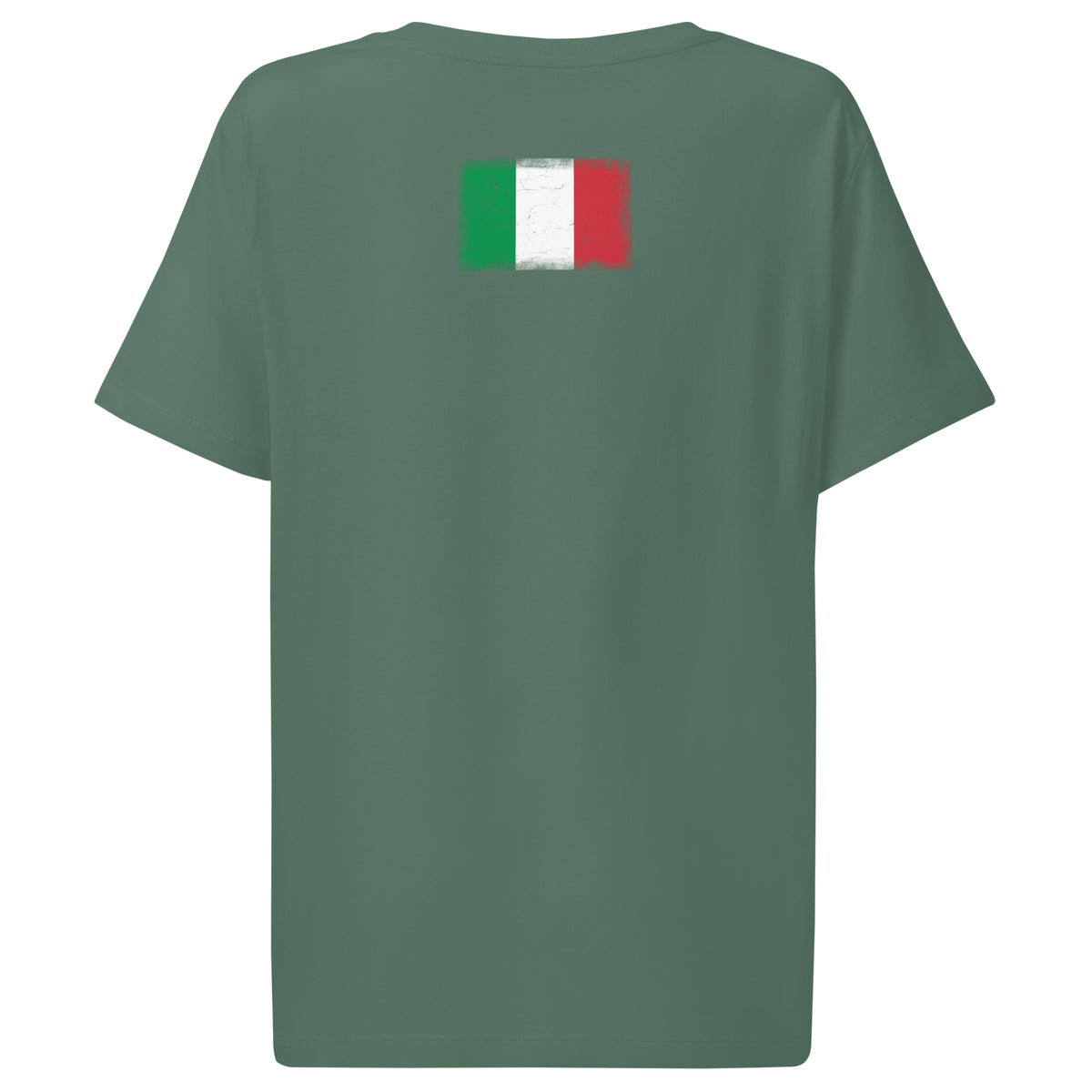 Italy flag t-shirt in Green Bay, vintage-washed print, flag across the upper back, women cut, back view