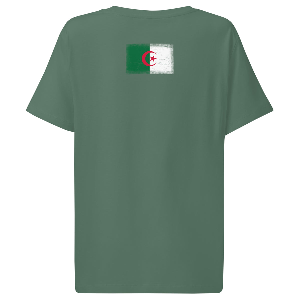 Algeria flag t-shirt in Green Bay, vintage-washed print, flag across the upper back, women cut, back view