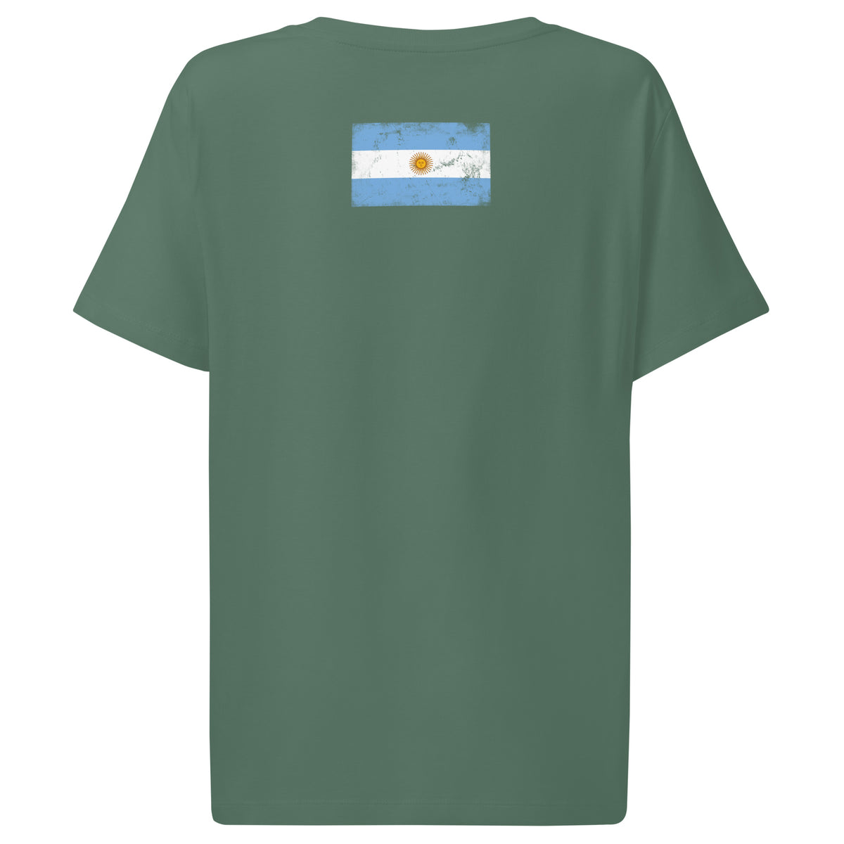 Argentina flag t-shirt in Green Bay, vintage-washed print, flag across the upper back, women cut, back view