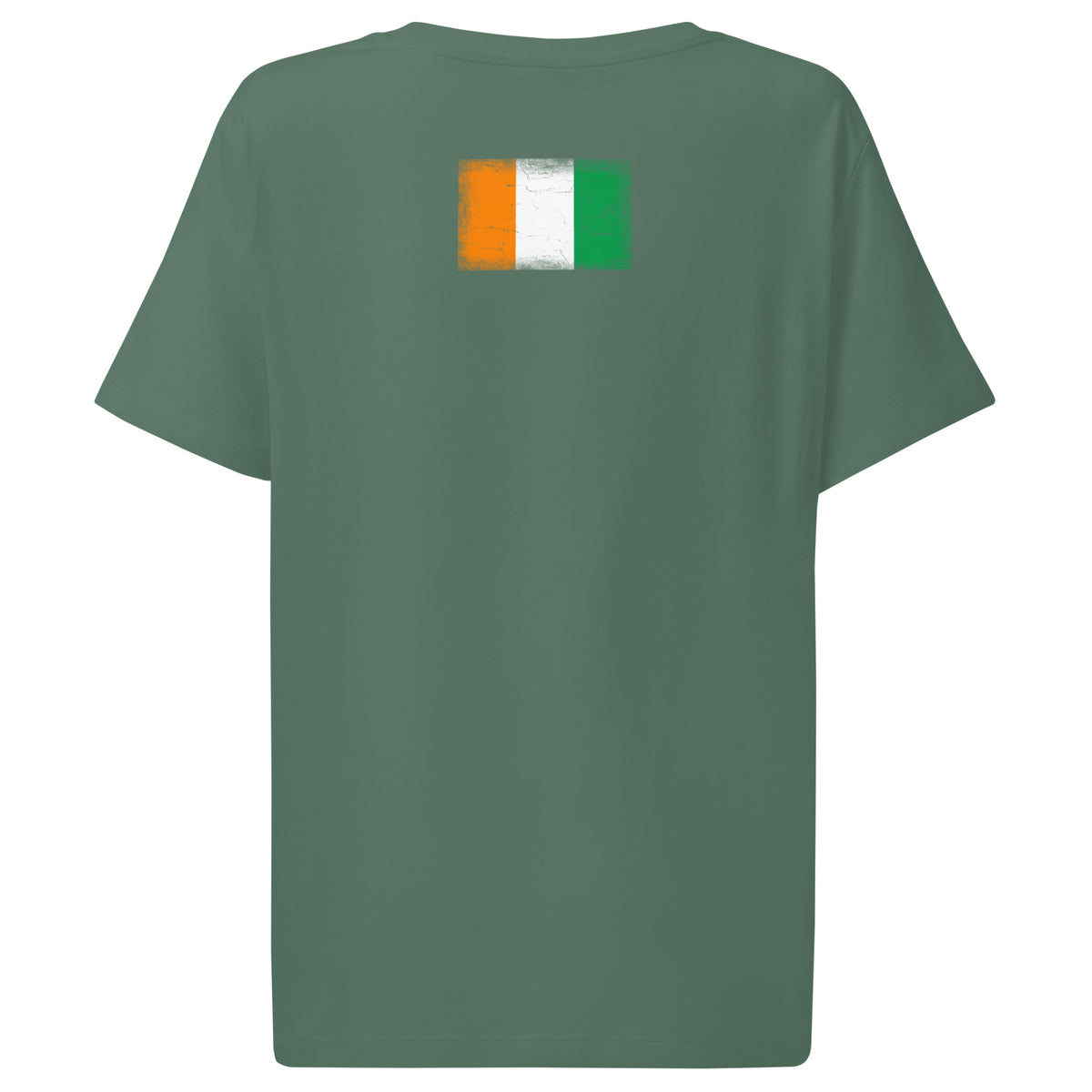 Côte d'Ivoire flag t-shirt in Green Bay, vintage-washed print, flag across the upper back, women cut, back view