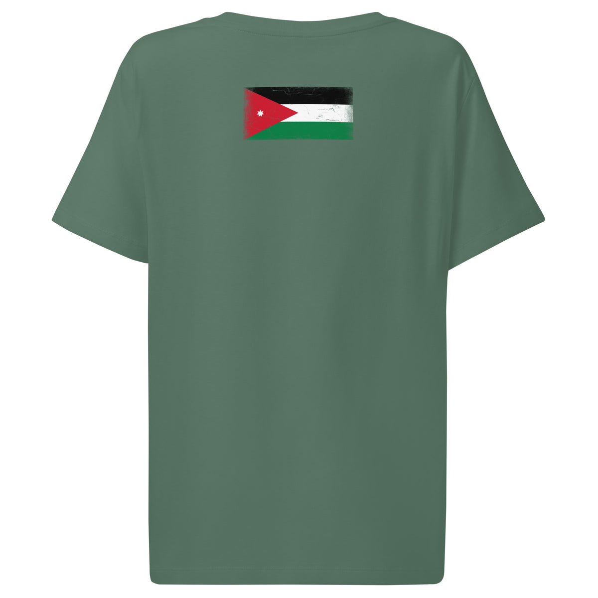 Jordan flag t-shirt in Green Bay, vintage-washed print, flag across the upper back, women cut, back view