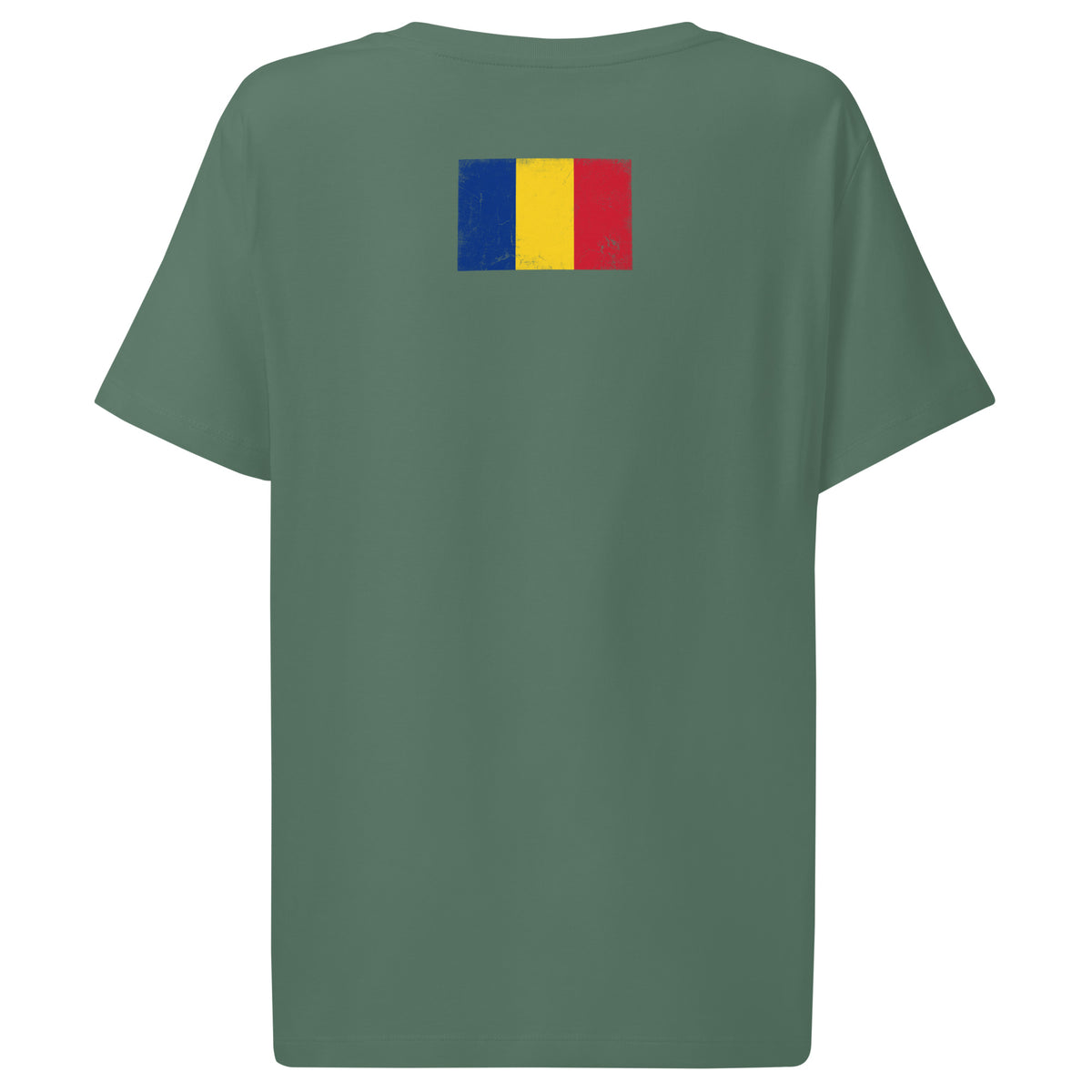 Romania flag t-shirt in Green Bay, vintage-washed print, flag across the upper back, women cut, back view