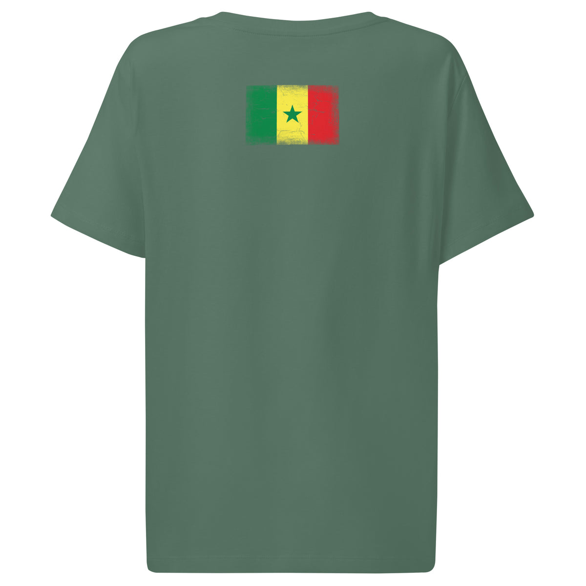 Senegal flag t-shirt in Green Bay, vintage-washed print, flag across the upper back, women cut, back view