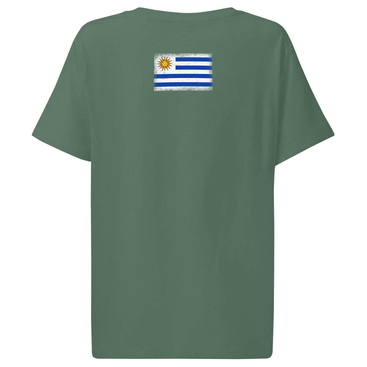 Uruguay flag t-shirt in Green Bay, vintage-washed print, flag across the upper back, women cut, back view