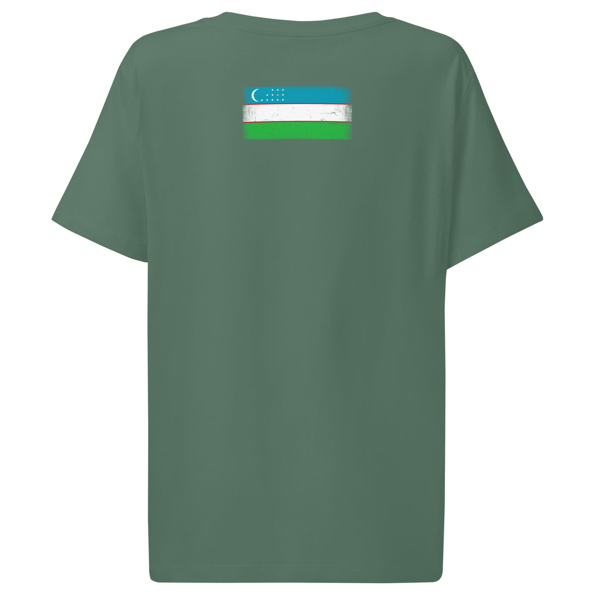 Uzbekistan flag t-shirt in Green Bay, vintage-washed print, flag across the upper back, women cut, back view