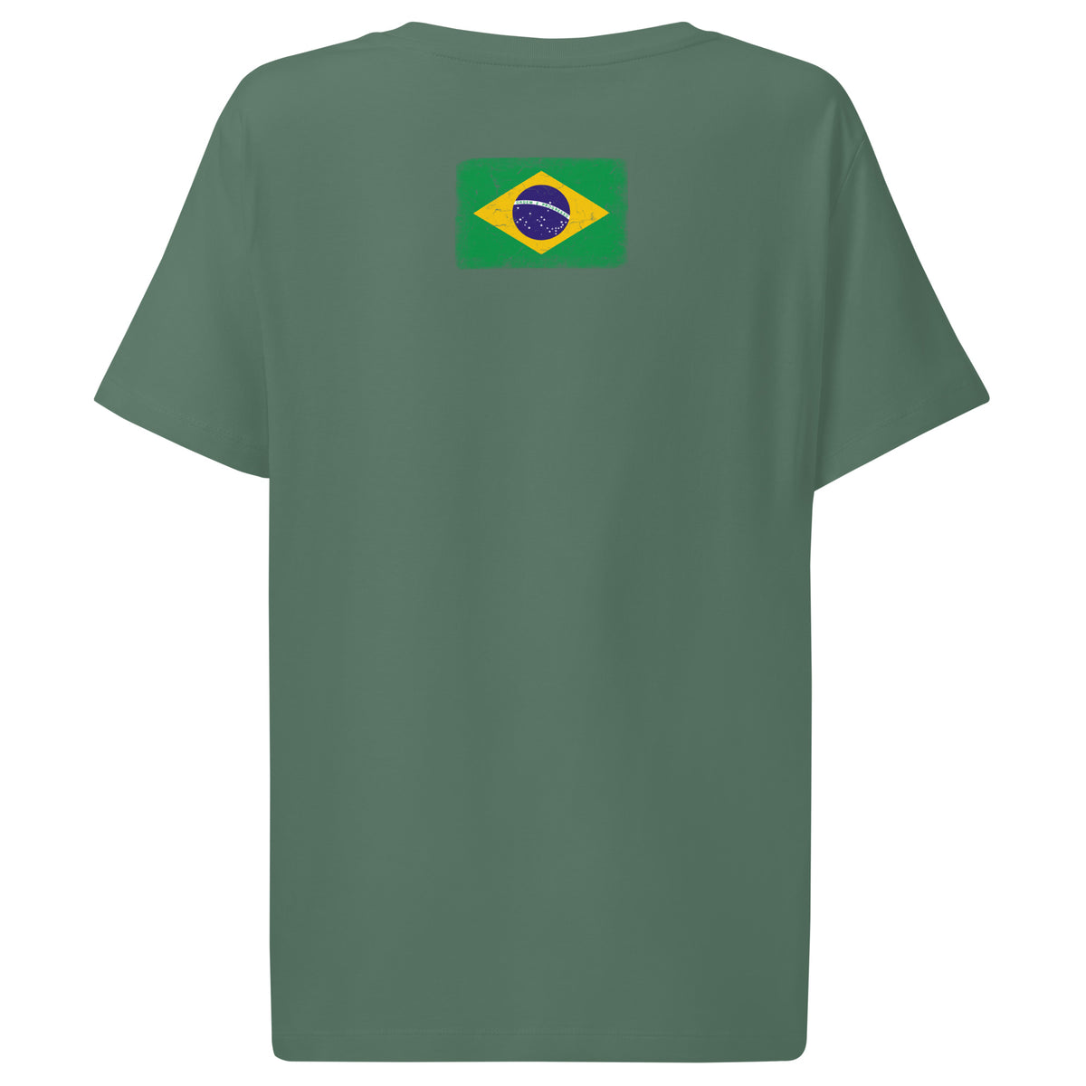 Brasil flag t-shirt in Green Bay, vintage-washed print, flag across the upper back, women cut, back view