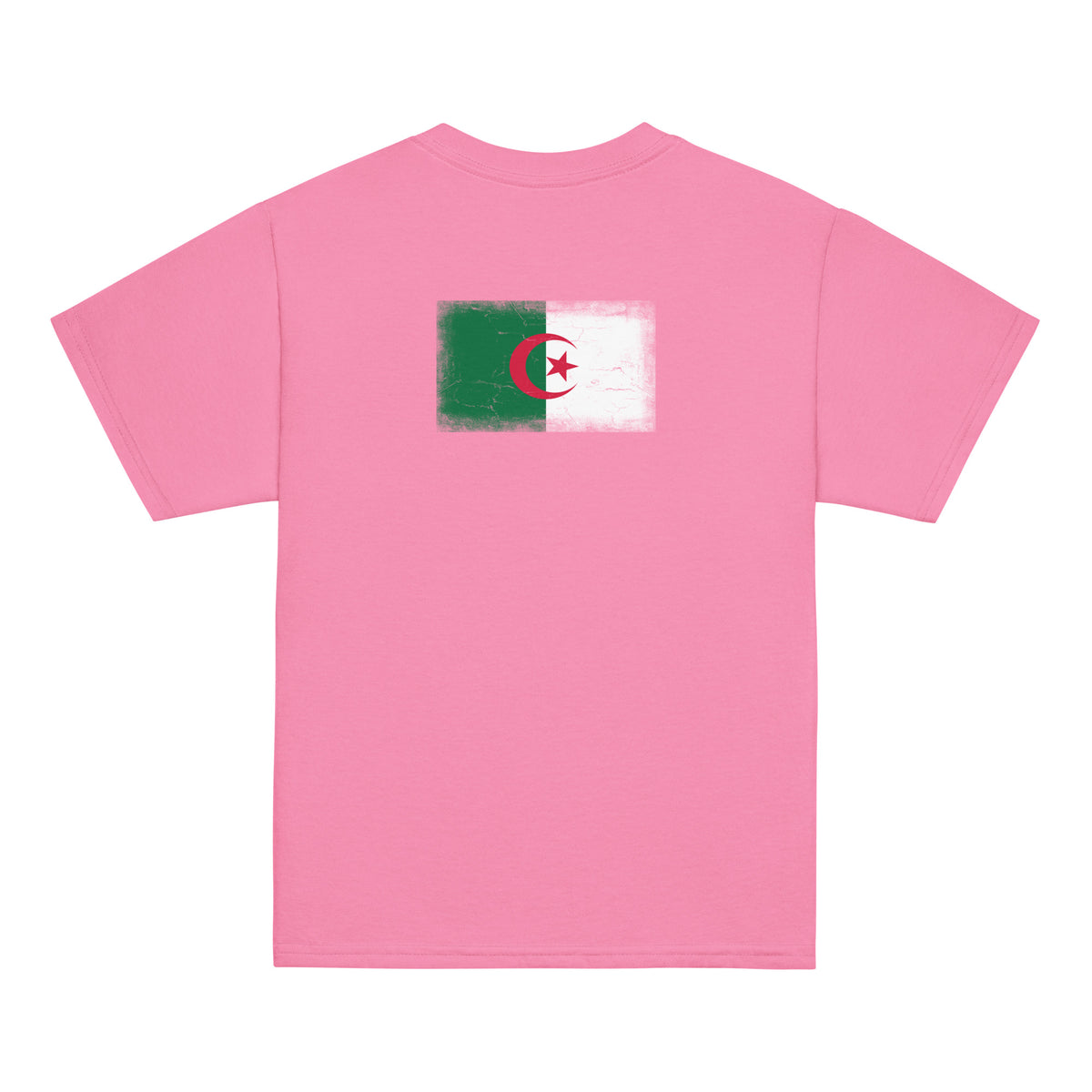 Algeria flag t-shirt in Azalea, vintage-washed print, flag across the upper back, kids cut, back view
