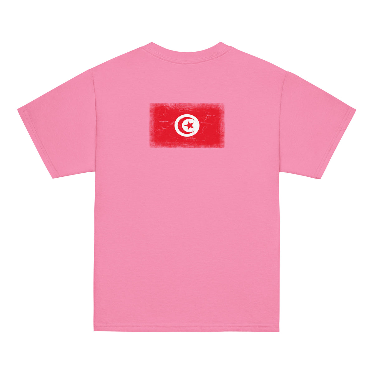 Tunisia flag t-shirt in Azalea, vintage-washed print, flag across the upper back, kids cut, back view