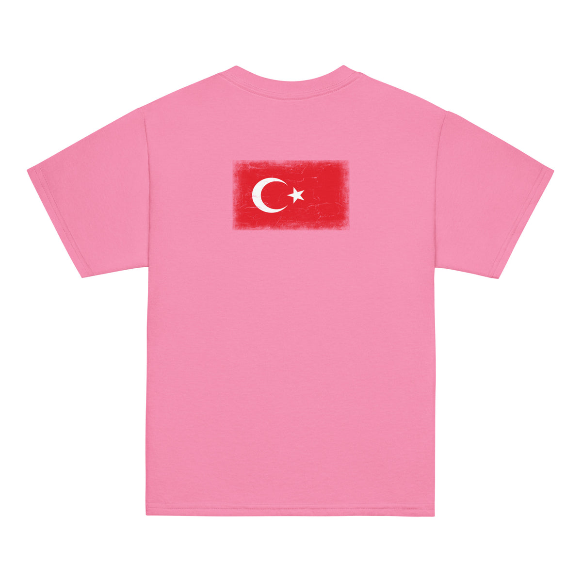Turkey flag t-shirt in Azalea, vintage-washed print, flag across the upper back, kids cut, back view