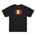 Romania flag t-shirt in Black, vintage-washed print, flag across the upper back, kids cut, back view