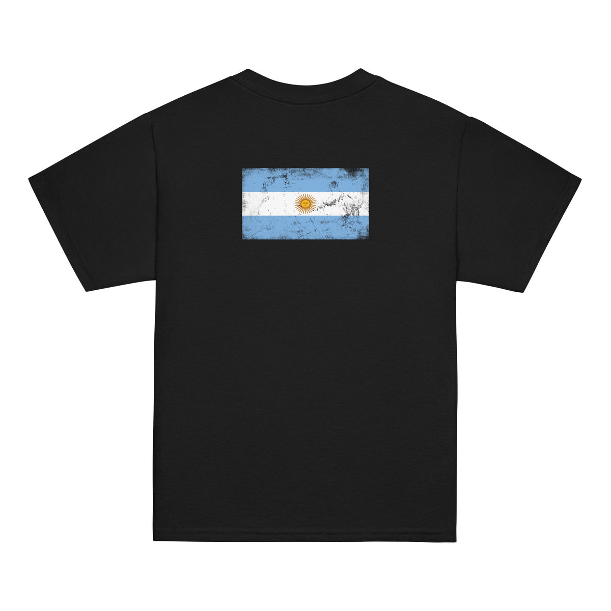 Argentina flag t-shirt in Black, vintage-washed print, flag across the upper back, kids cut, back view