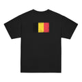 Belgium flag t-shirt in Black, vintage-washed print, flag across the upper back, kids cut, back view