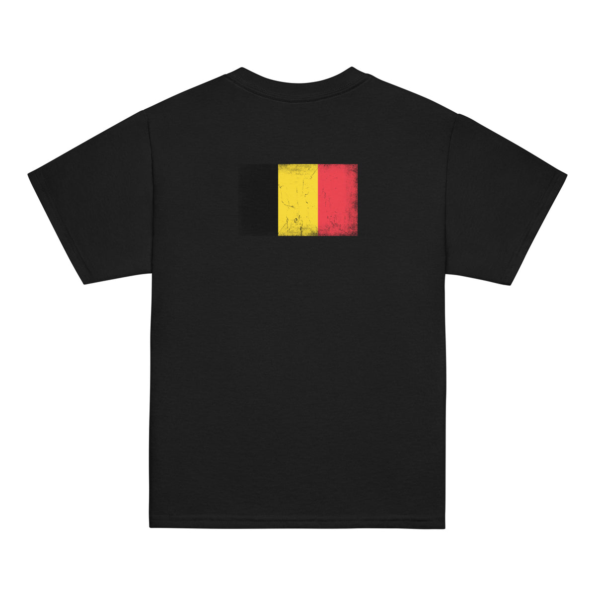 Belgium flag t-shirt in Black, vintage-washed print, flag across the upper back, kids cut, back view