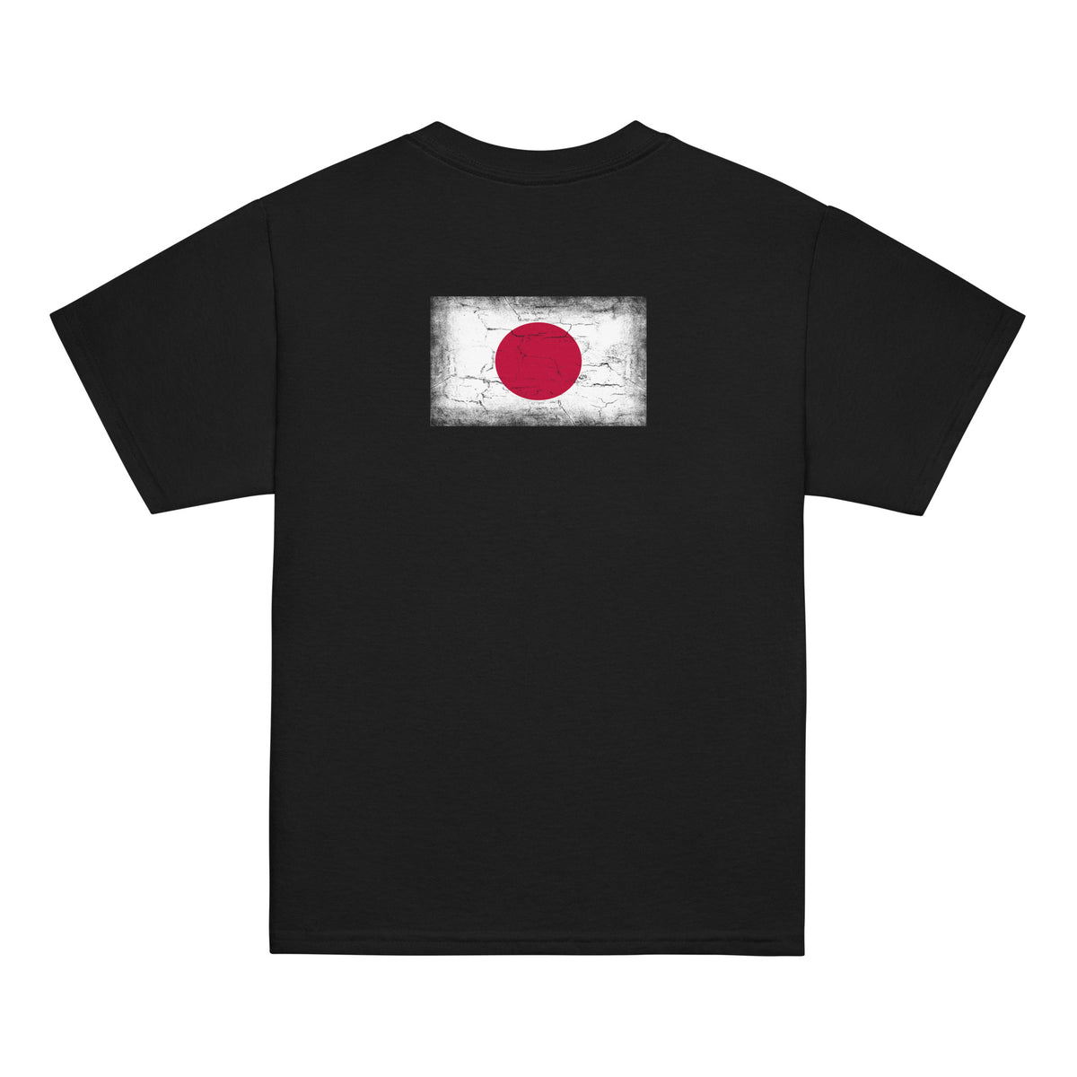 Japan flag t-shirt in Black, vintage-washed print, flag across the upper back, kids cut, back view