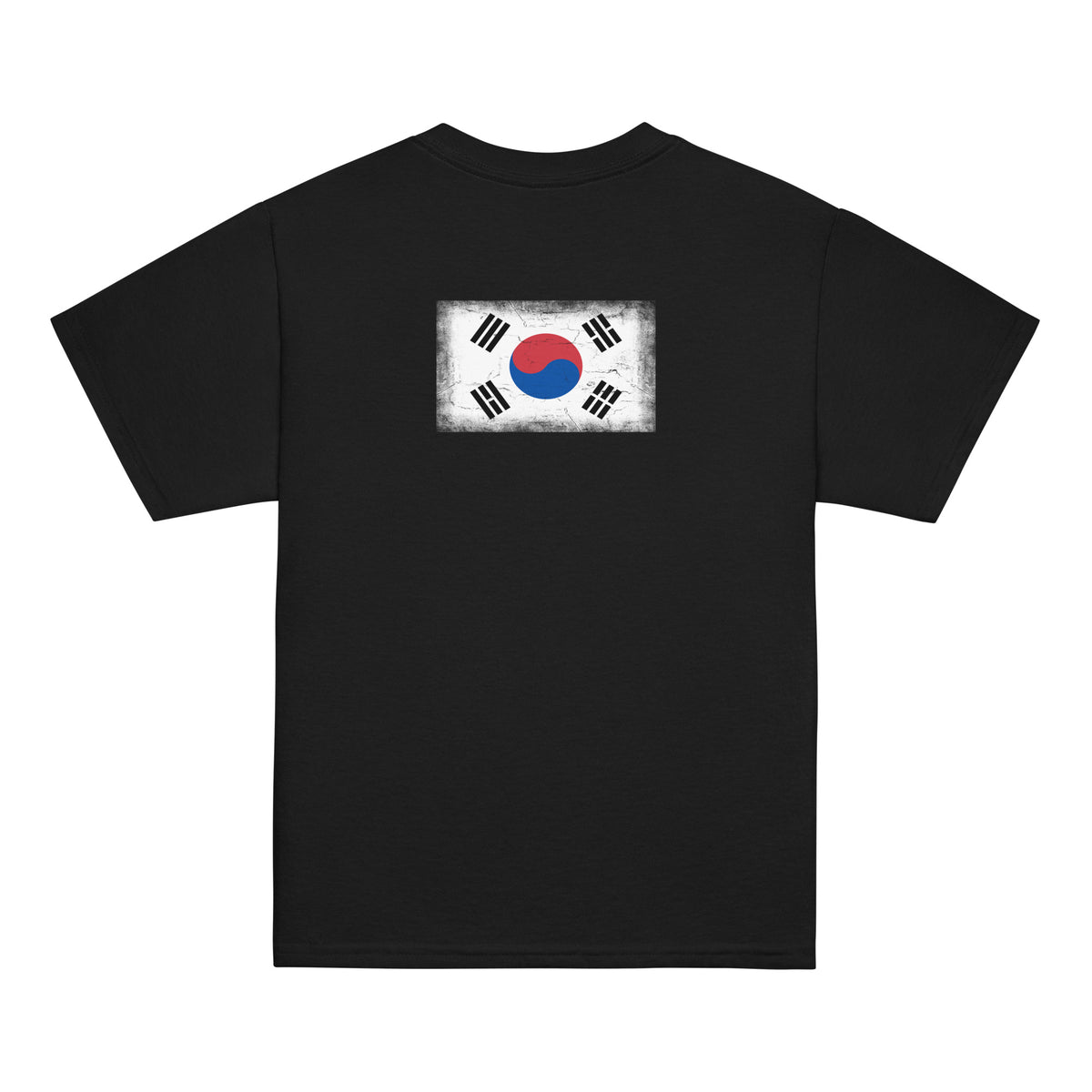 South Korea flag t-shirt in Black, vintage-washed print, flag across the upper back, kids cut, back view