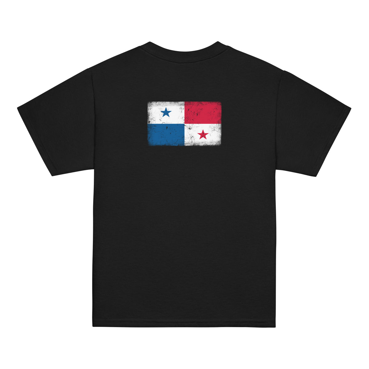 Panama flag t-shirt in Black, vintage-washed print, flag across the upper back, kids cut, back view