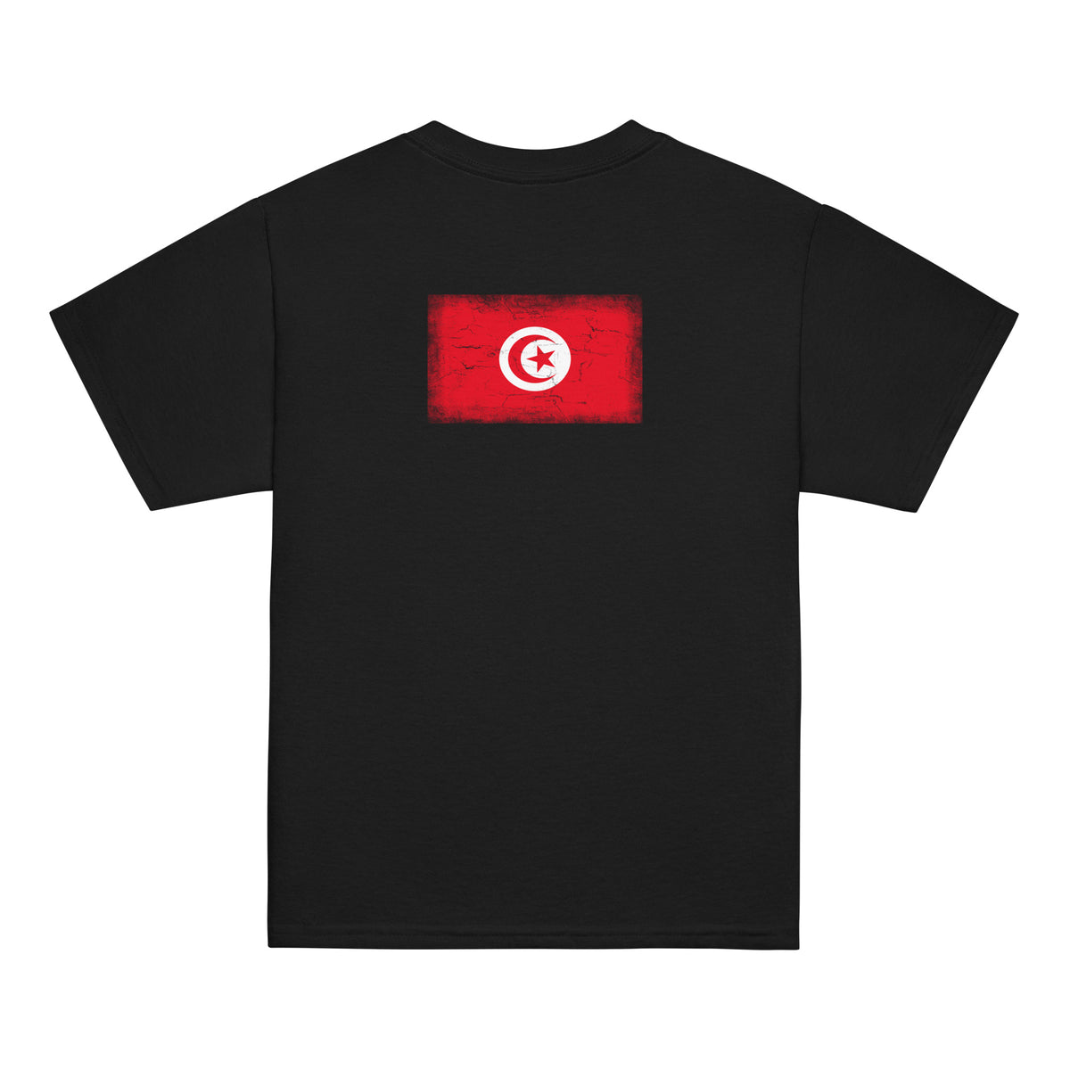 Tunisia flag t-shirt in Black, vintage-washed print, flag across the upper back, kids cut, back view
