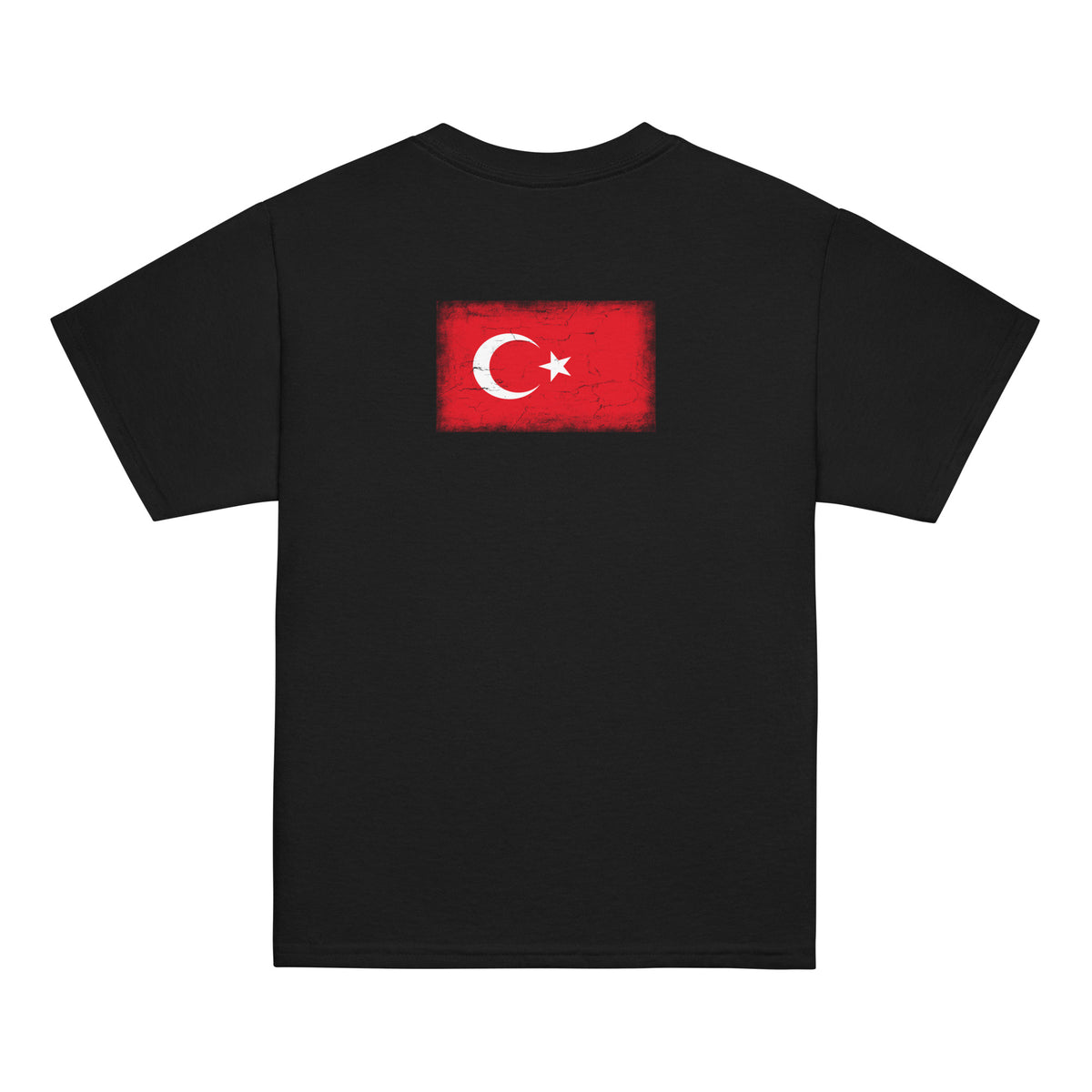 Turkey flag t-shirt in Black, vintage-washed print, flag across the upper back, kids cut, back view