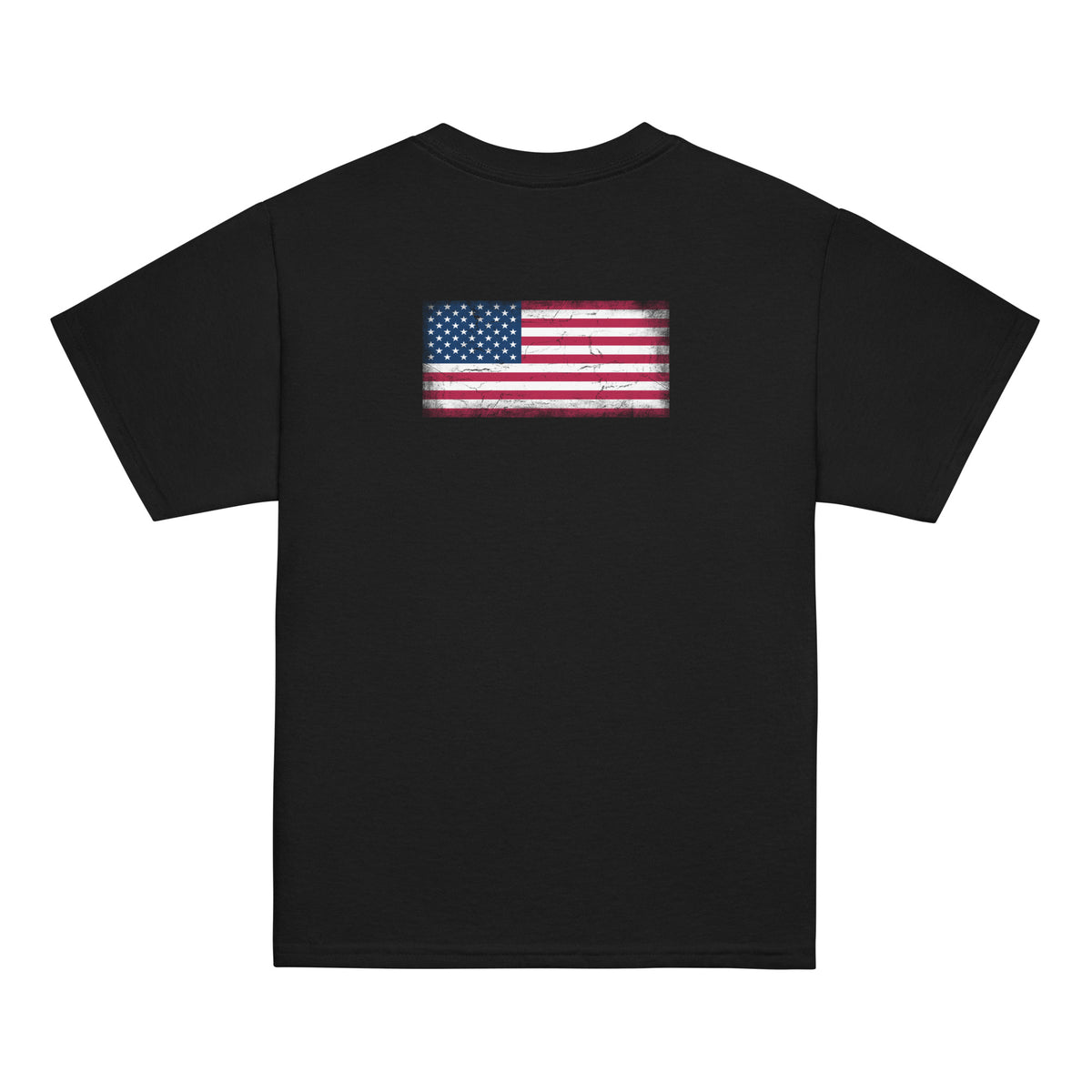 USA flag t-shirt in Black, vintage-washed print, flag across the upper back, kids cut, back view