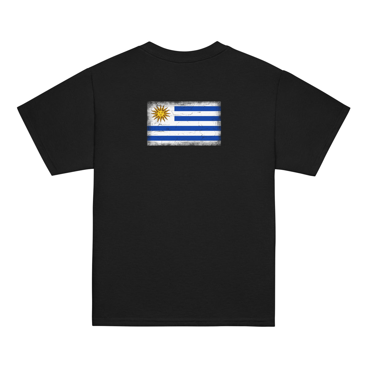 Uruguay flag t-shirt in Black, vintage-washed print, flag across the upper back, kids cut, back view
