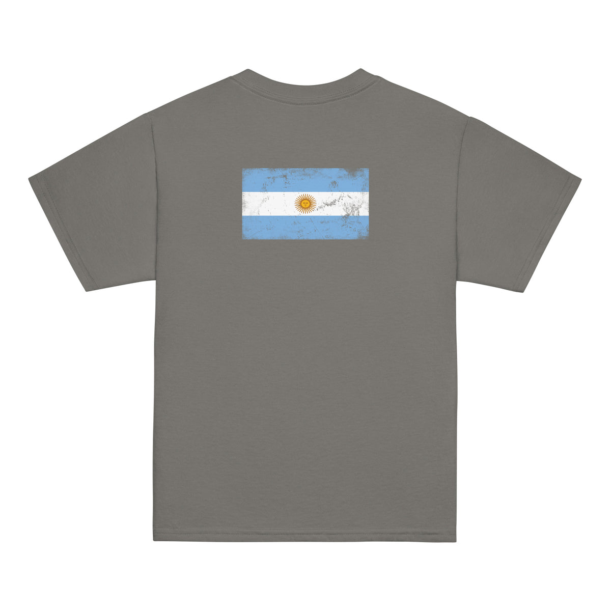 Argentina flag t-shirt in Charcoal, vintage-washed print, flag across the upper back, kids cut, back view