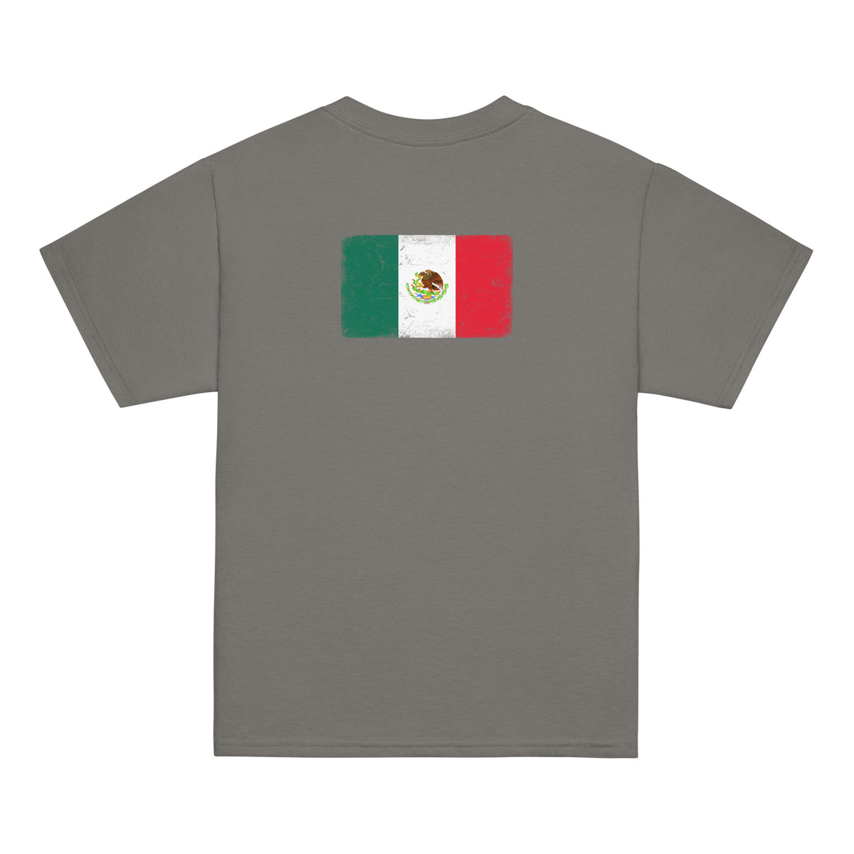 Mexico flag t-shirt in Charcoal, vintage-washed print, flag across the upper back, kids cut, back view