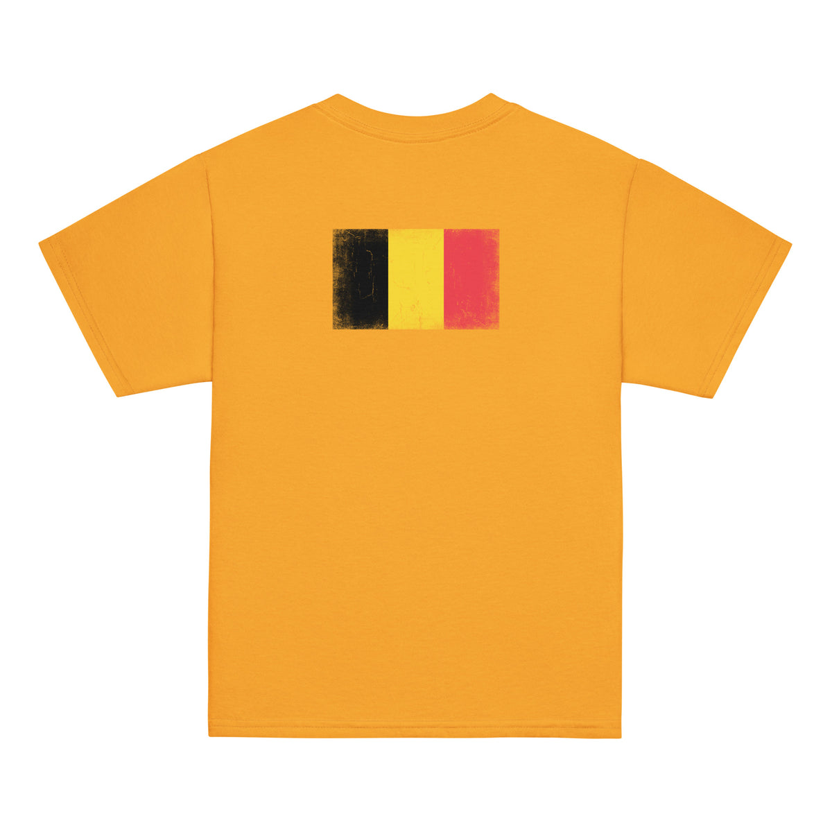 Belgium flag t-shirt in Gold, vintage-washed print, flag across the upper back, kids cut, back view