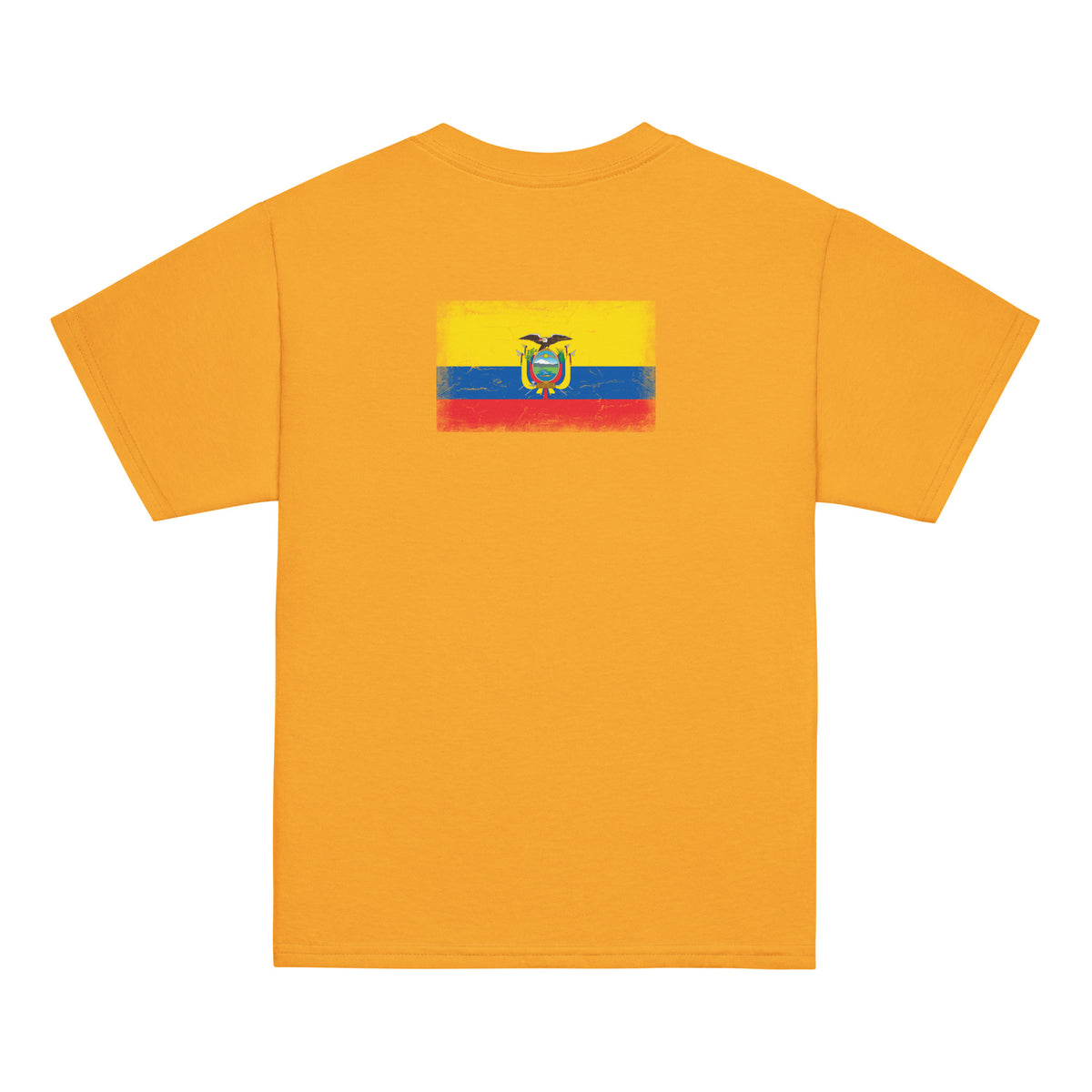 Ecuador flag t-shirt in Gold, vintage-washed print, flag across the upper back, kids cut, back view