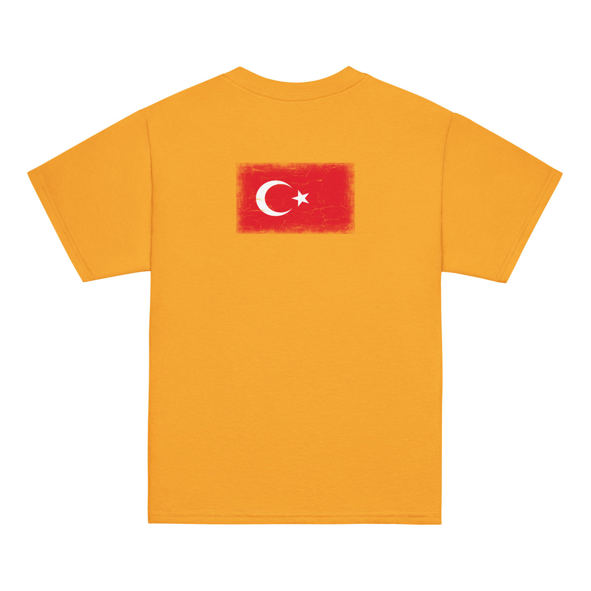 Turkey flag t-shirt in Gold, vintage-washed print, flag across the upper back, kids cut, back view