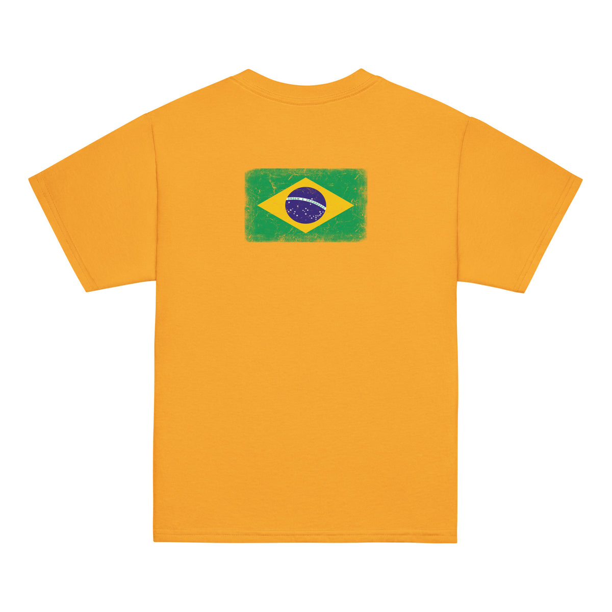 Brasil flag t-shirt in Gold, vintage-washed print, flag across the upper back, kids cut, back view