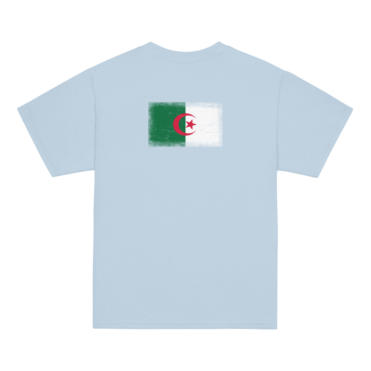 Algeria flag t-shirt in Light Blue, vintage-washed print, flag across the upper back, kids cut, back view