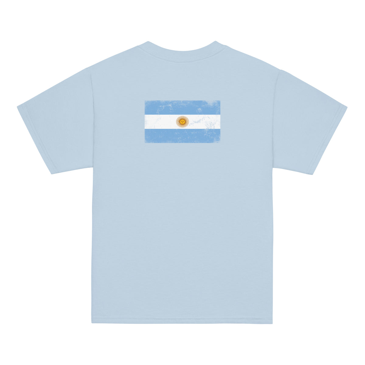 Argentina flag t-shirt in Light Blue, vintage-washed print, flag across the upper back, kids cut, back view