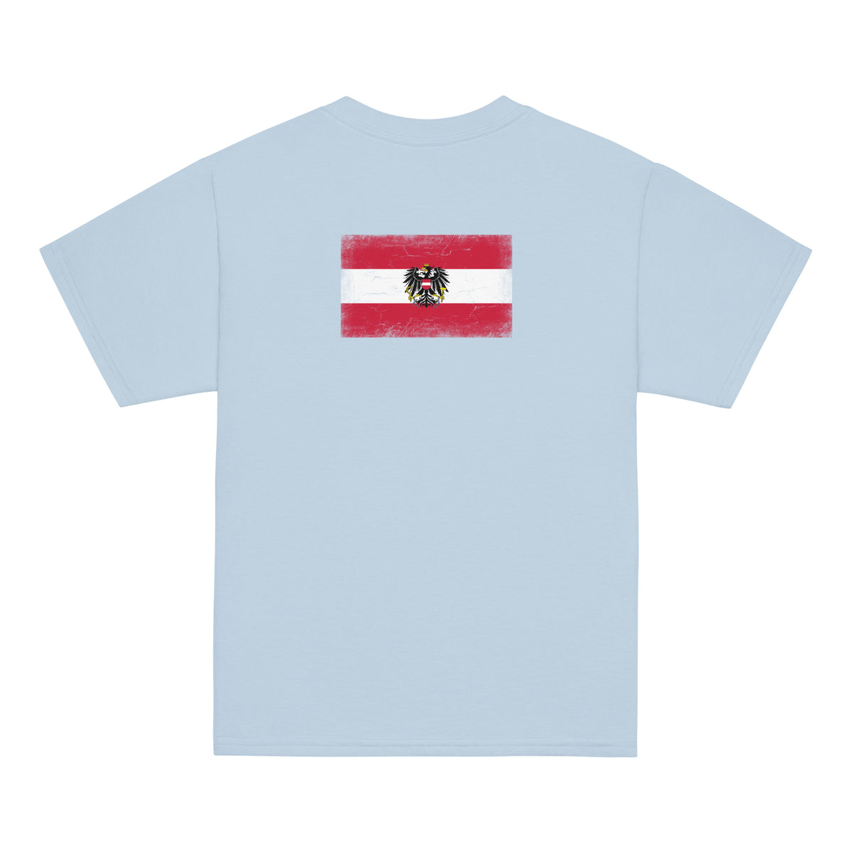 Austria flag t-shirt in Light Blue, vintage-washed print, flag across the upper back, kids cut, back view