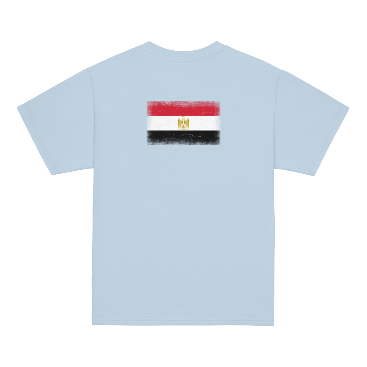 Egypt flag t-shirt in Light Blue, vintage-washed print, flag across the upper back, kids cut, back view