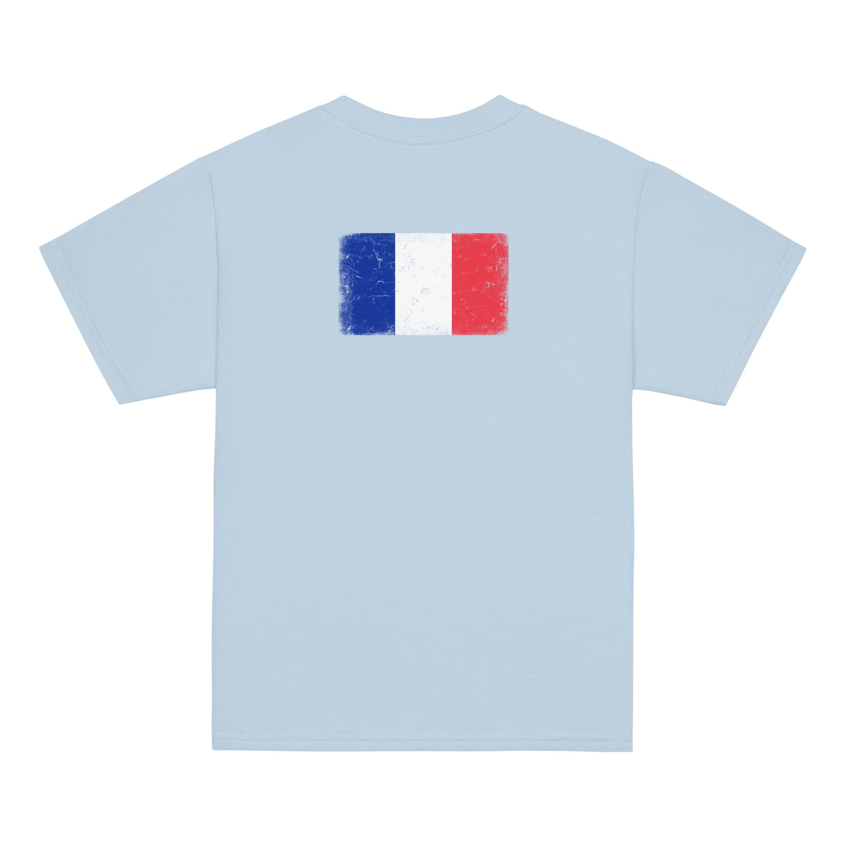 France flag t-shirt in Light Blue, vintage-washed print, flag across the upper back, kids cut, back view