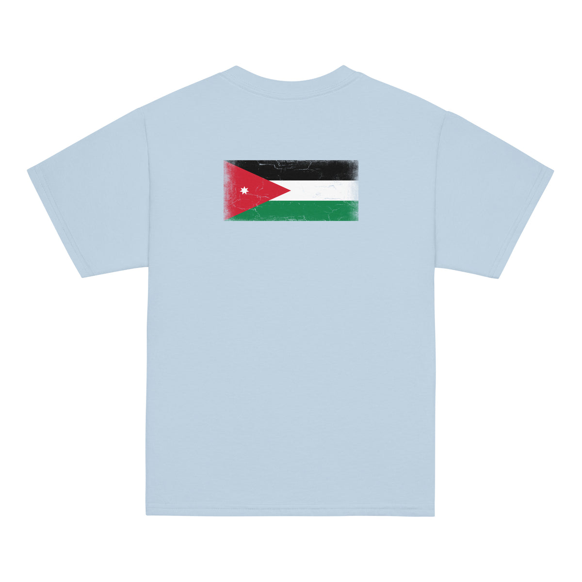Jordan flag t-shirt in Light Blue, vintage-washed print, flag across the upper back, kids cut, back view