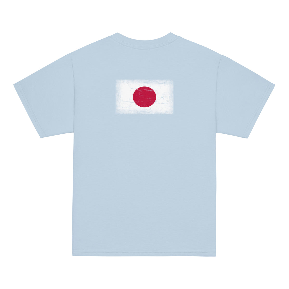 Japan flag t-shirt in Light Blue, vintage-washed print, flag across the upper back, kids cut, back view