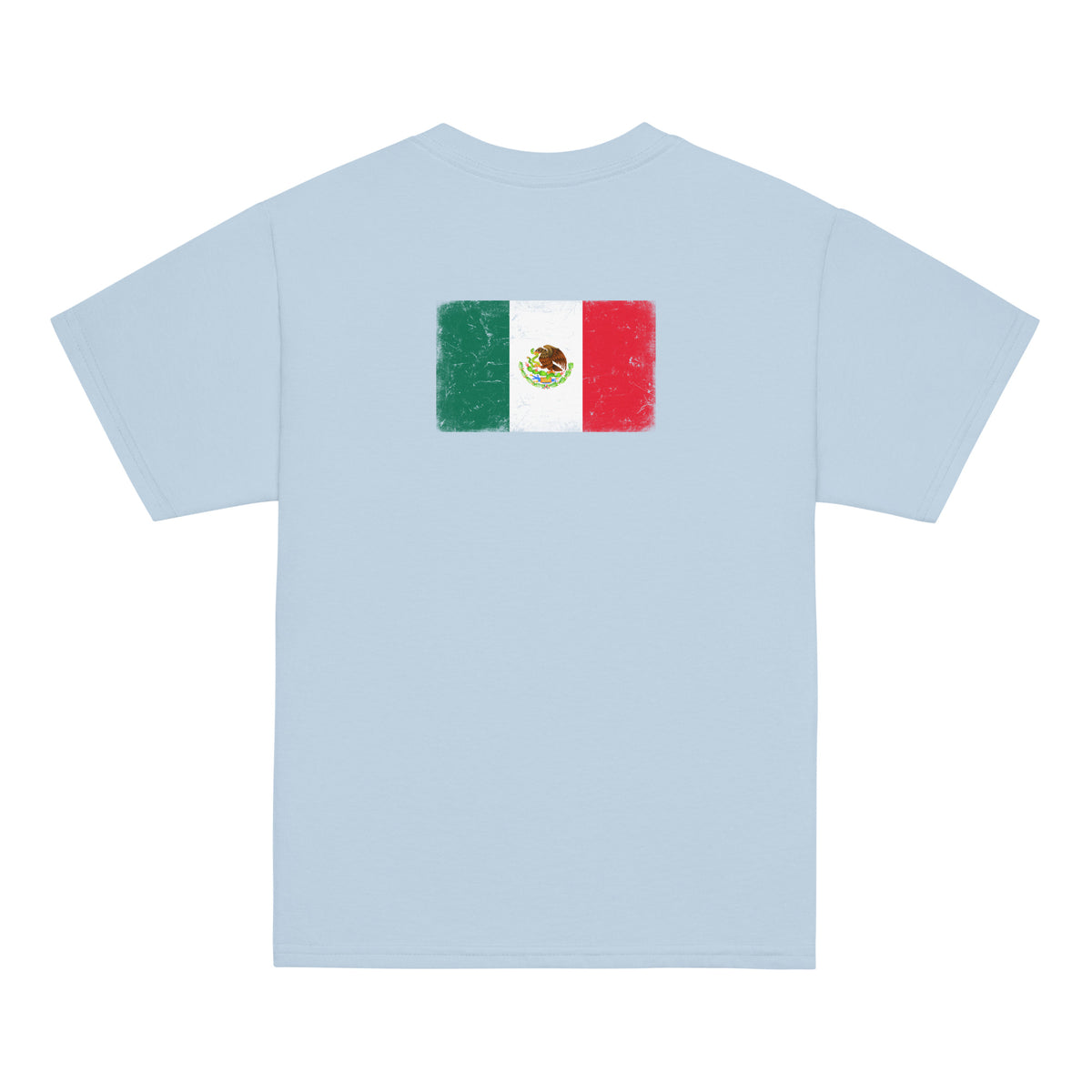 Mexico flag t-shirt in Light Blue, vintage-washed print, flag across the upper back, kids cut, back view
