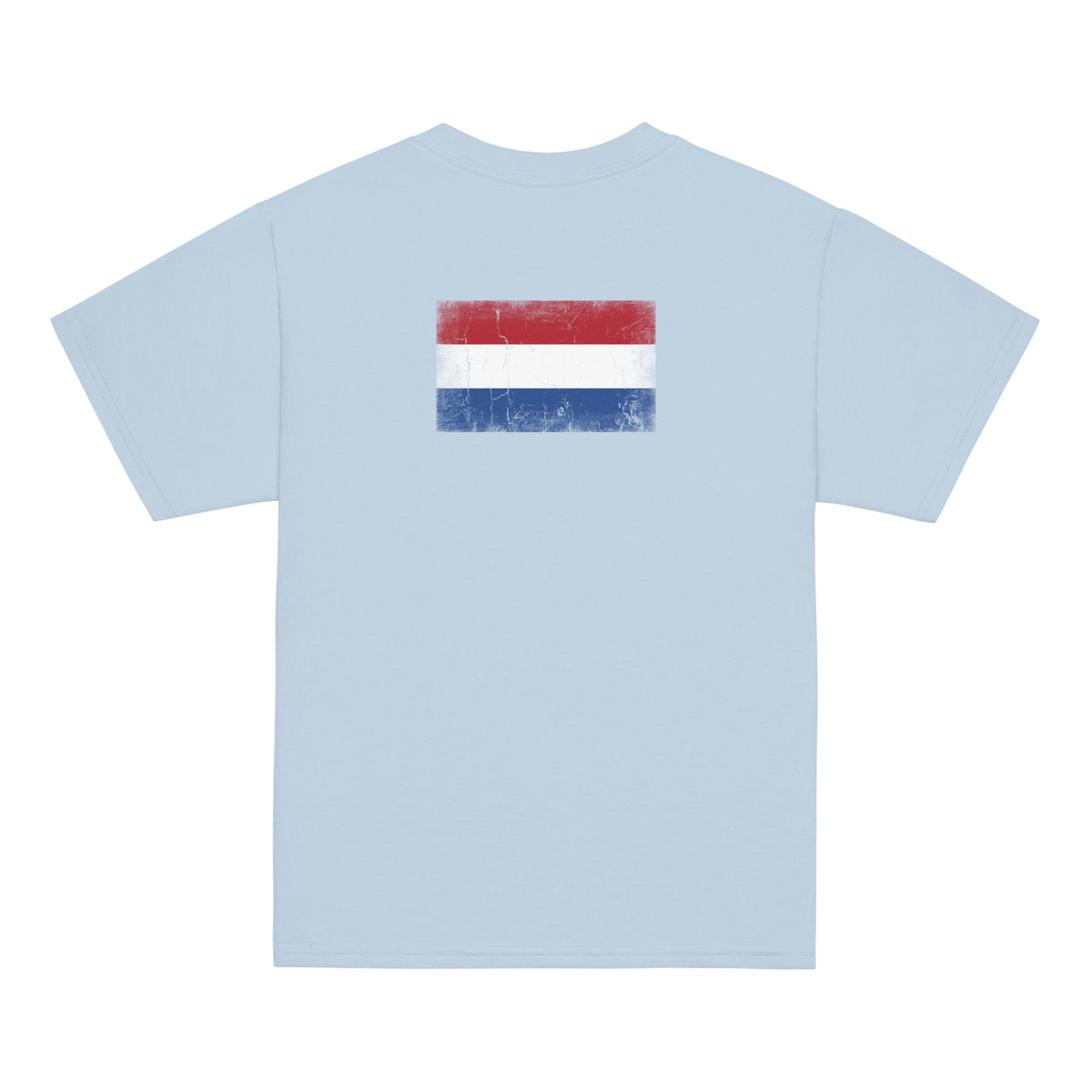 Netherlands flag t-shirt in Light Blue, vintage-washed print, flag across the upper back, kids cut, back view
