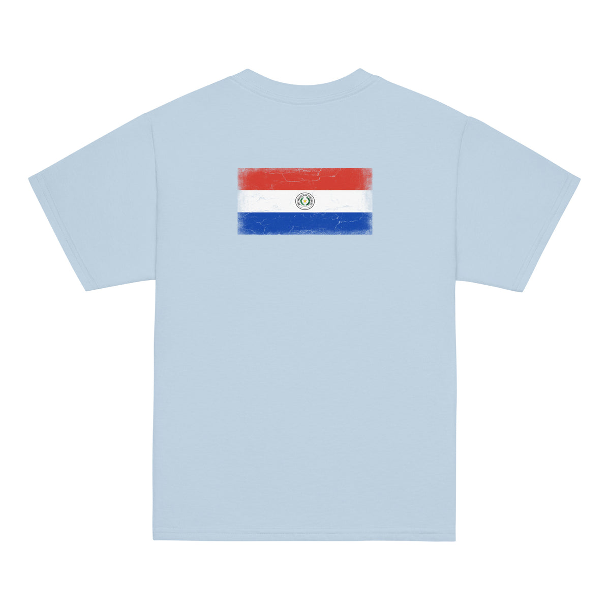 Paraguay flag t-shirt in Light Blue, vintage-washed print, flag across the upper back, kids cut, back view