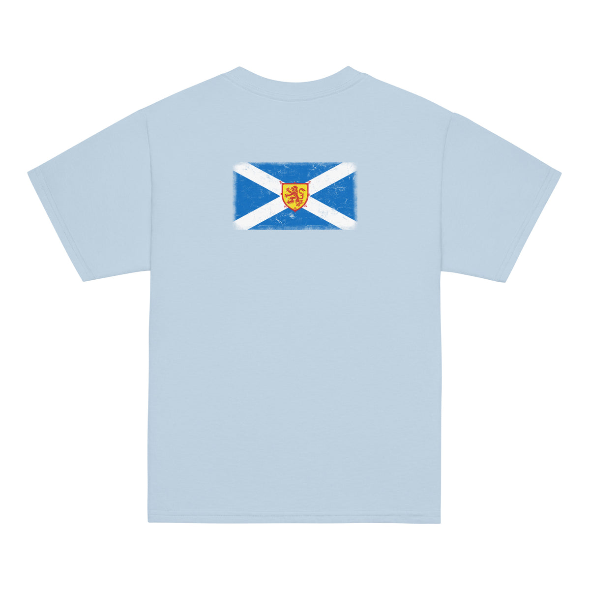 Scotland flag t-shirt in Light Blue, vintage-washed print, flag across the upper back, kids cut, back view