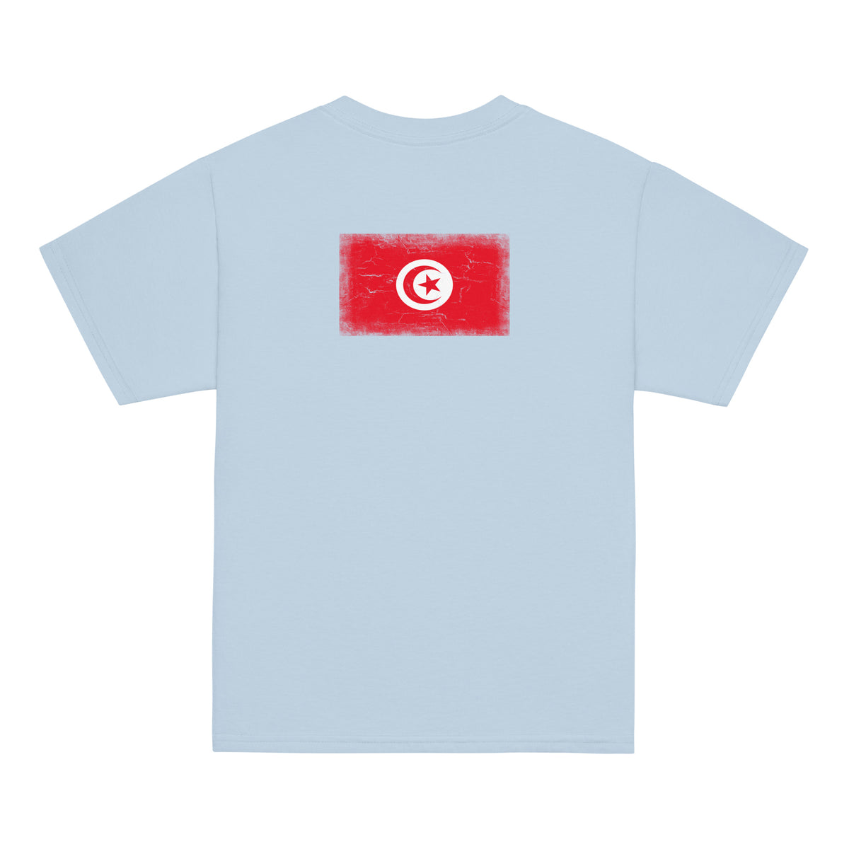 Tunisia flag t-shirt in Light Blue, vintage-washed print, flag across the upper back, kids cut, back view