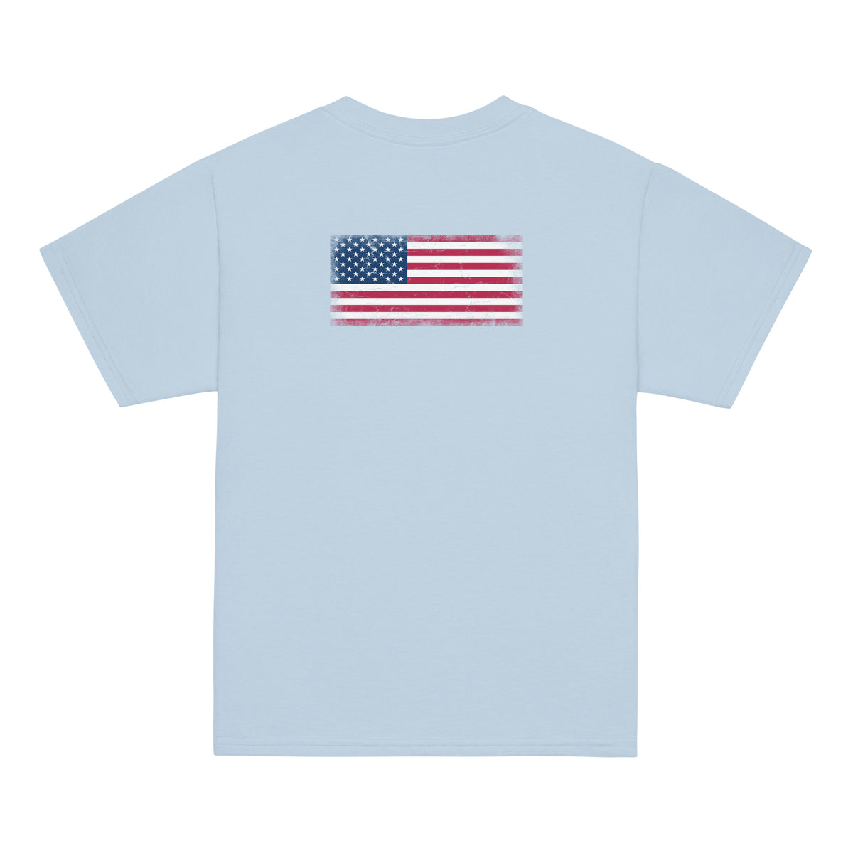 USA flag t-shirt in Light Blue, vintage-washed print, flag across the upper back, kids cut, back view